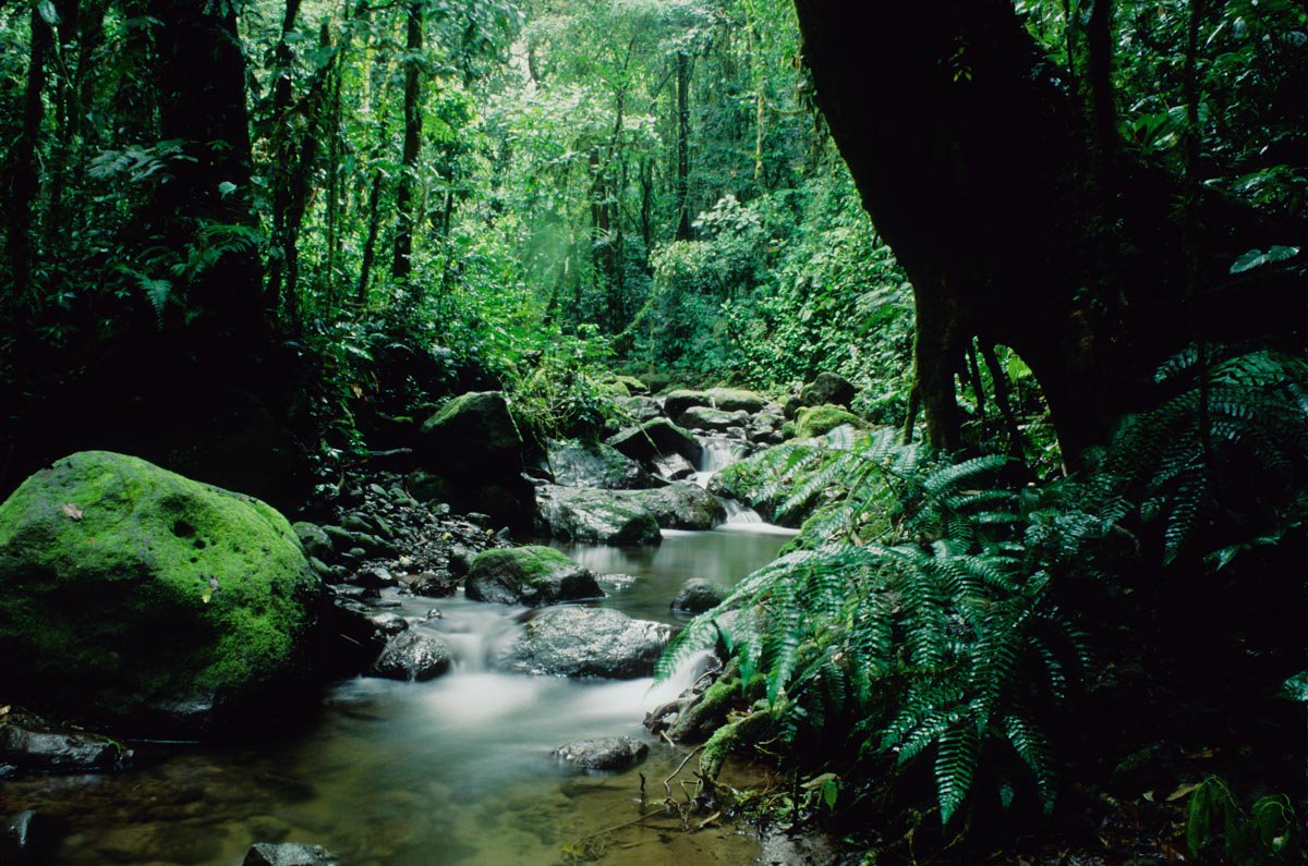 Darien Panama Vacation Guide - Tours in Darien Panama