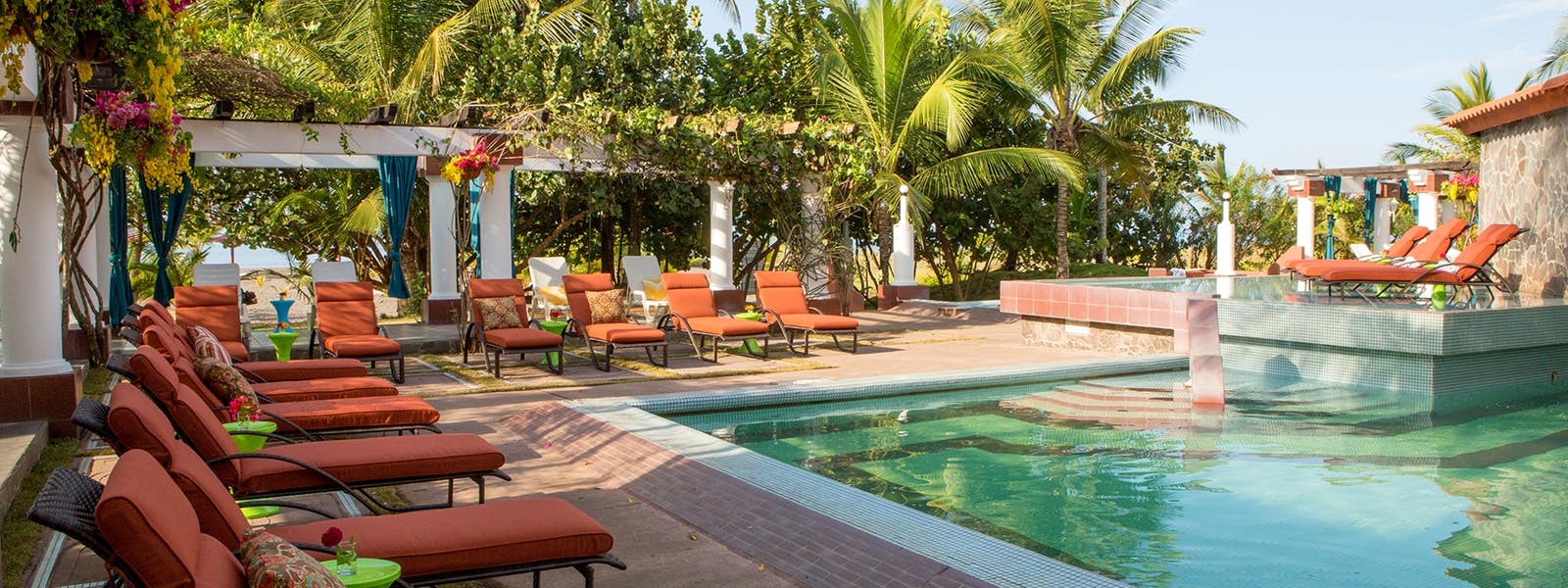 olas david resort